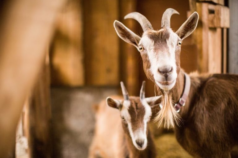    Фото: freepik.com/ wirestock Илья Мартов