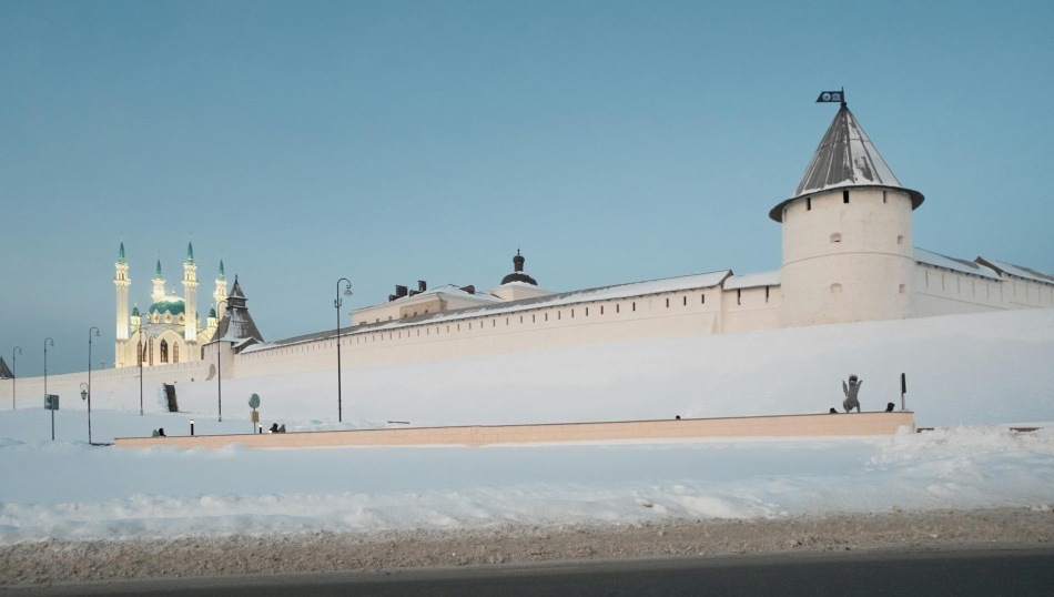 Фото Profi + Travel