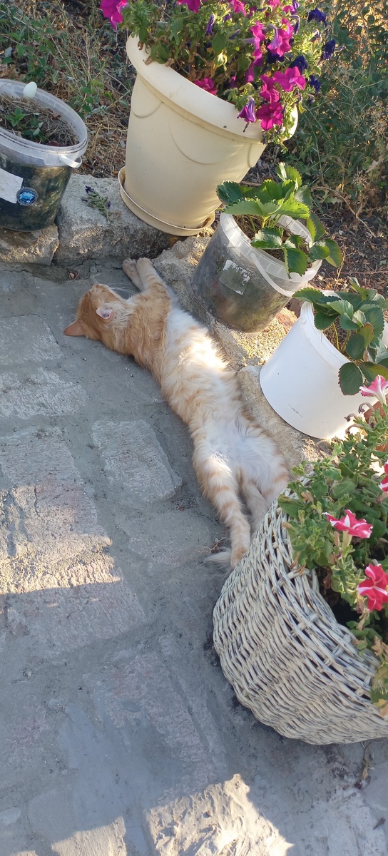 И пусть весь мир подождёт. 