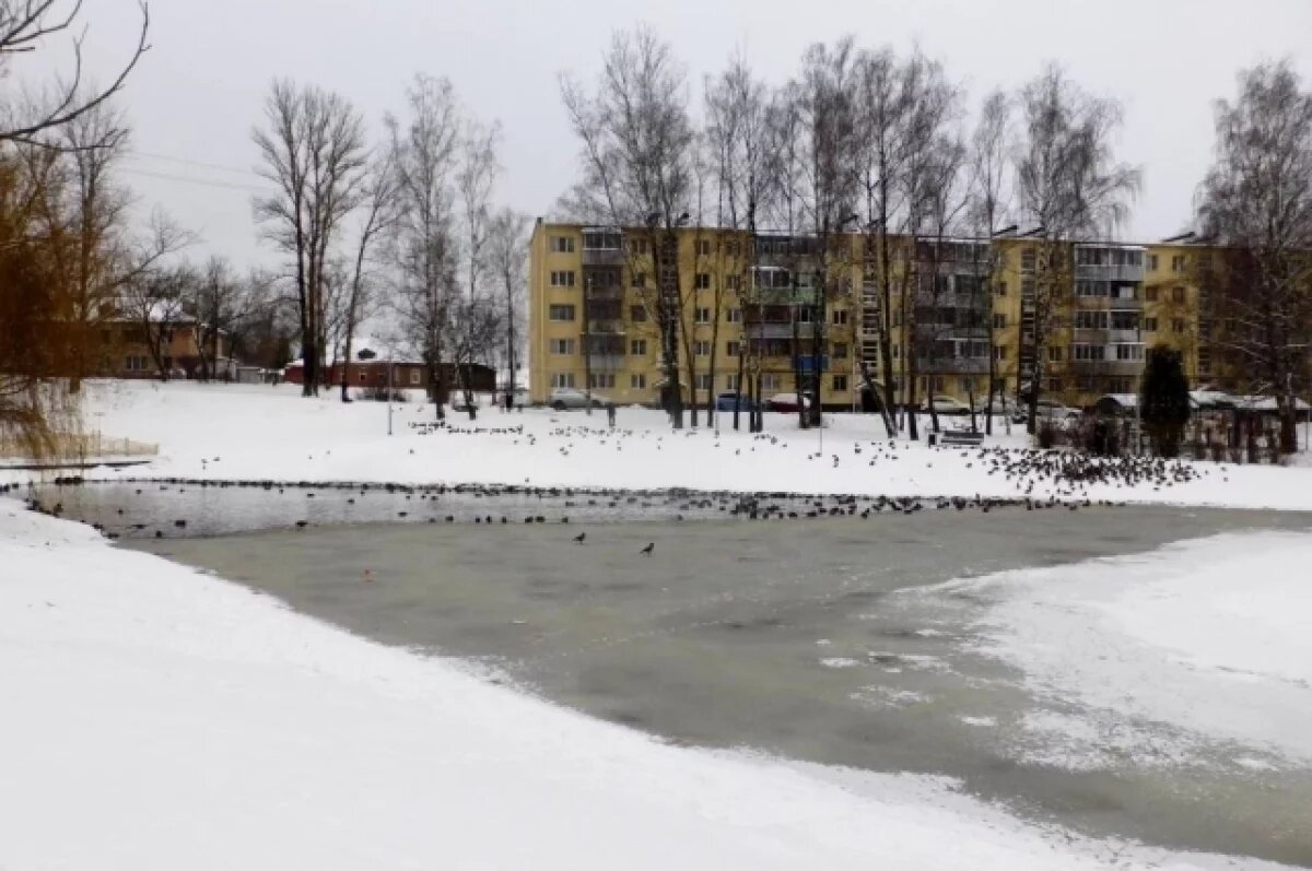   Ребенок провалился под лед на пруду в Калуге