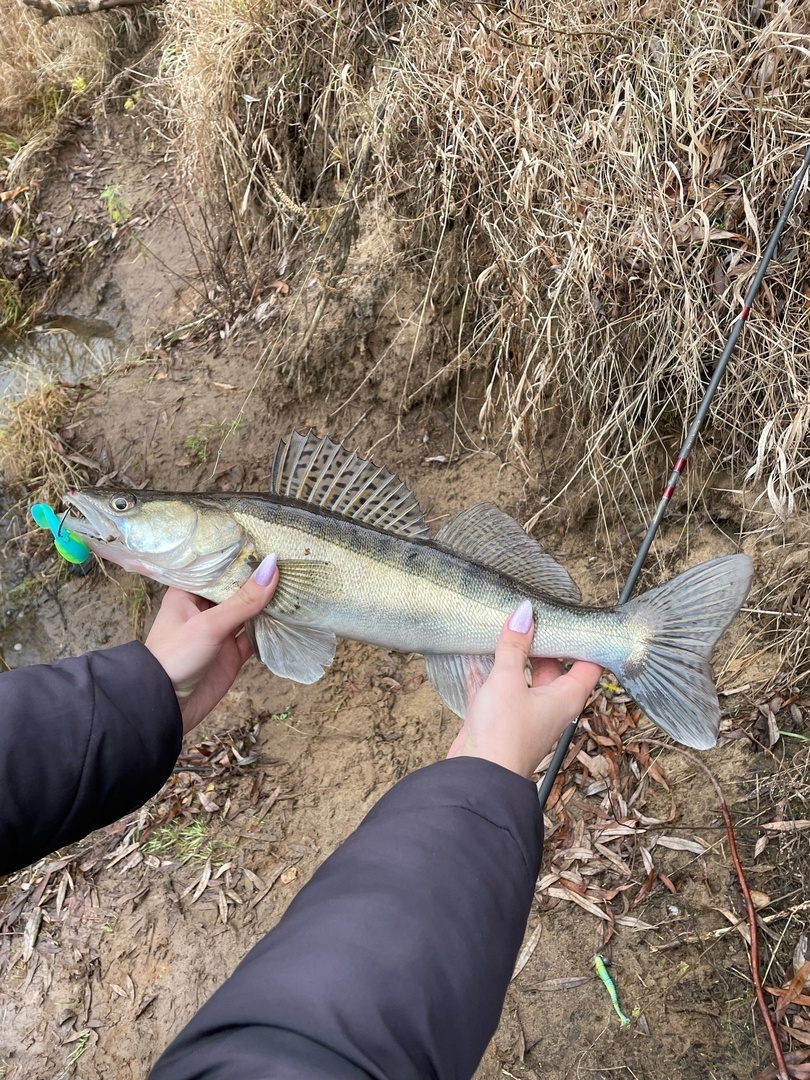 Потянул примерно на 900 грамм