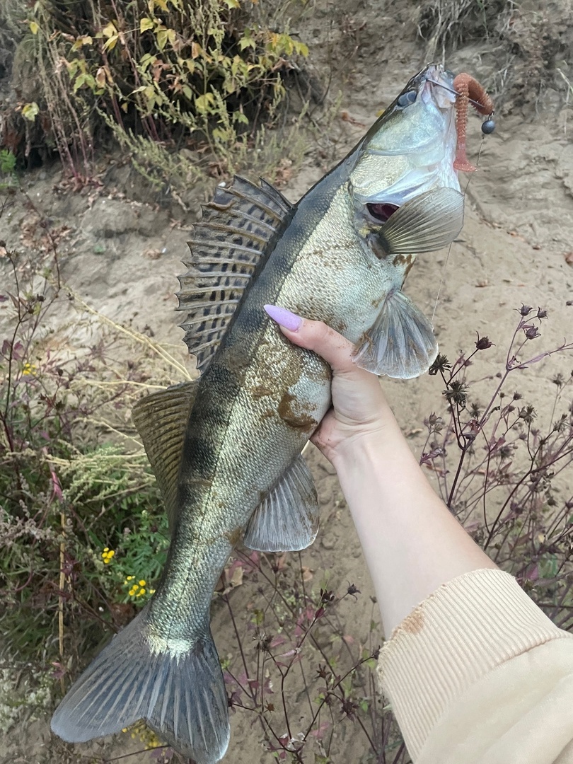 Тот самый трофей!