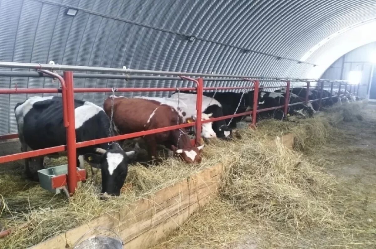    На поддержку томских фермеров в 2024 году выделили 30 миллионов рублей