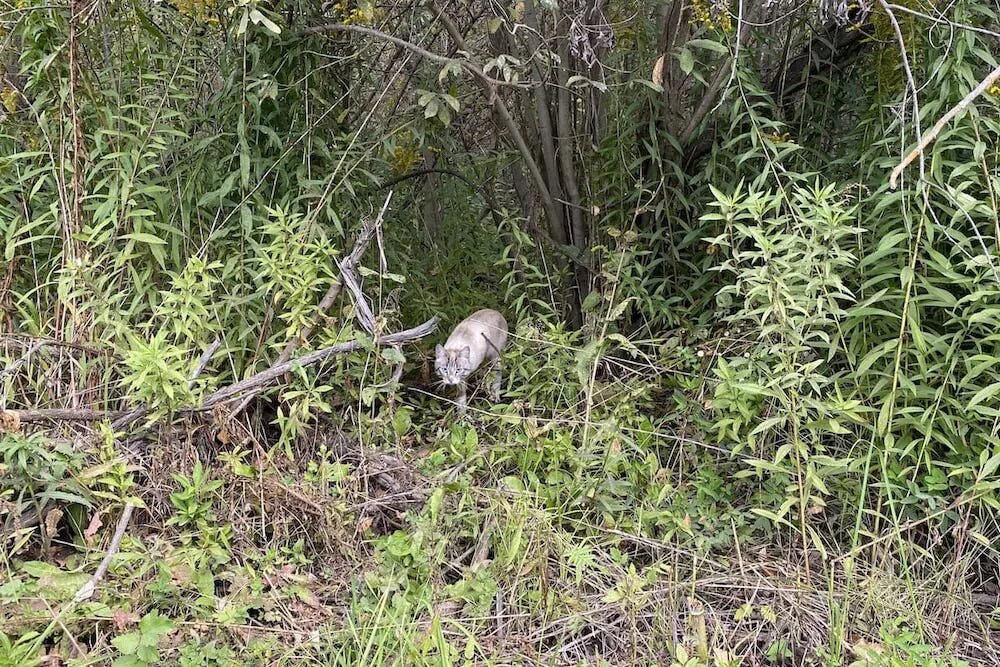 Фото: SterlitamakTime.ru / OOO «Уфатайм»