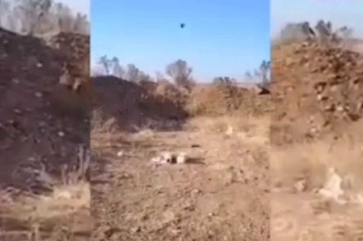    Запуск дрона ГУР в Сирии.