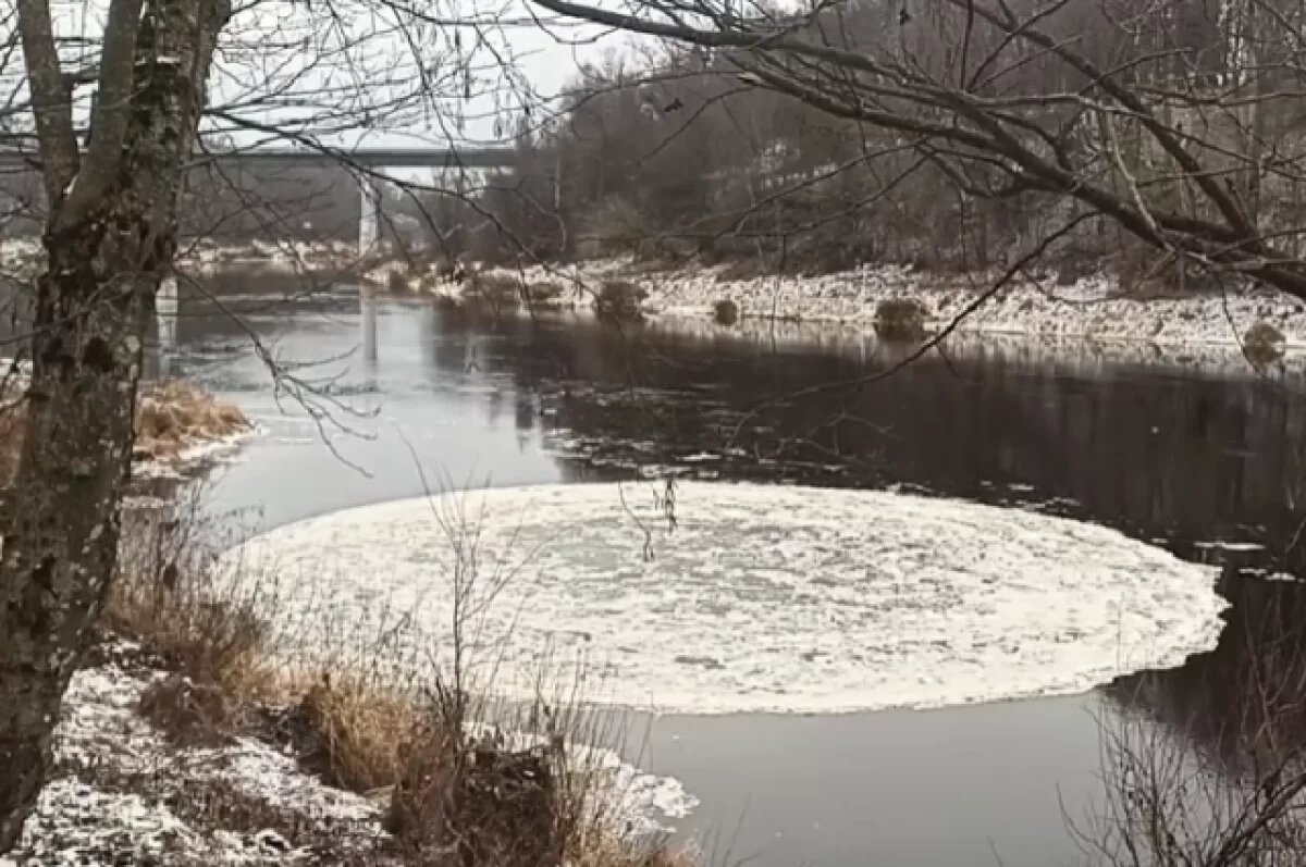    Огромные вращающиеся ледяные круги заметили на реках под Великим Новгородом