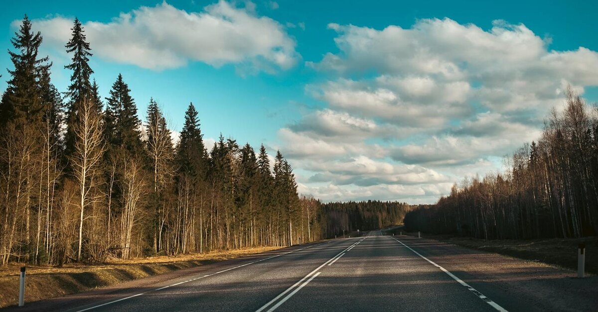 Фото: Egor Myznik / Unsplash