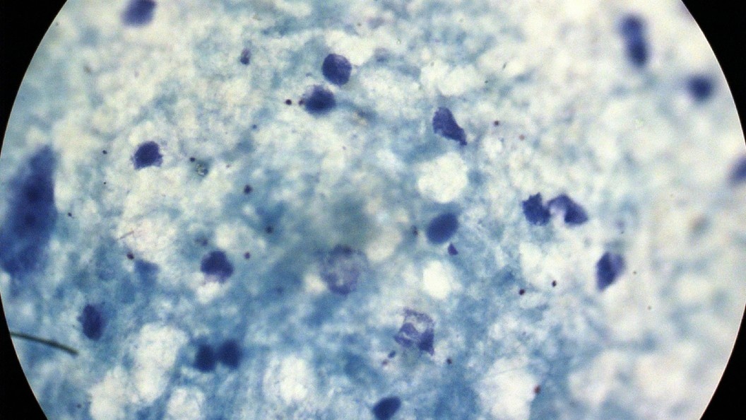    Alexander Legky/Global Look Press