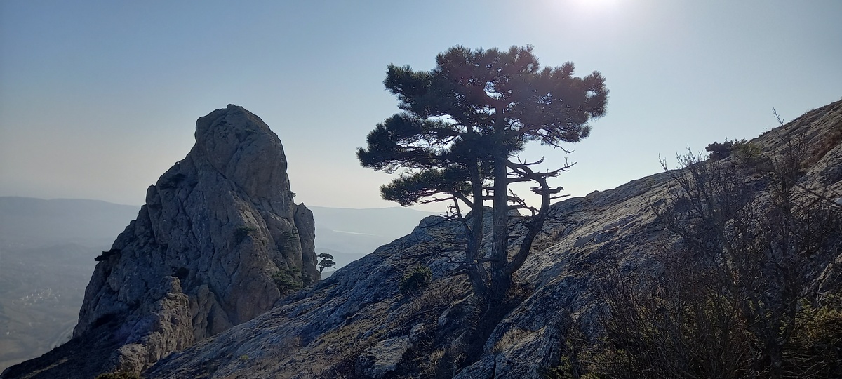 гора Носорог