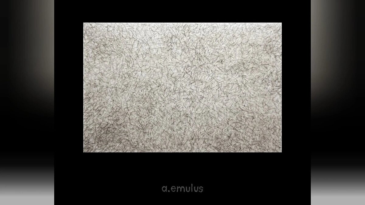 Картина из лобковых волос. Фото © Telegram / a.emulus
