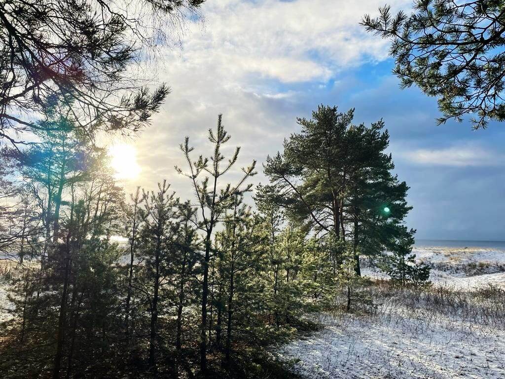 Энергии недели