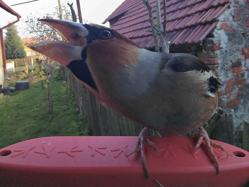 Чехия, фото Pavel Kacl