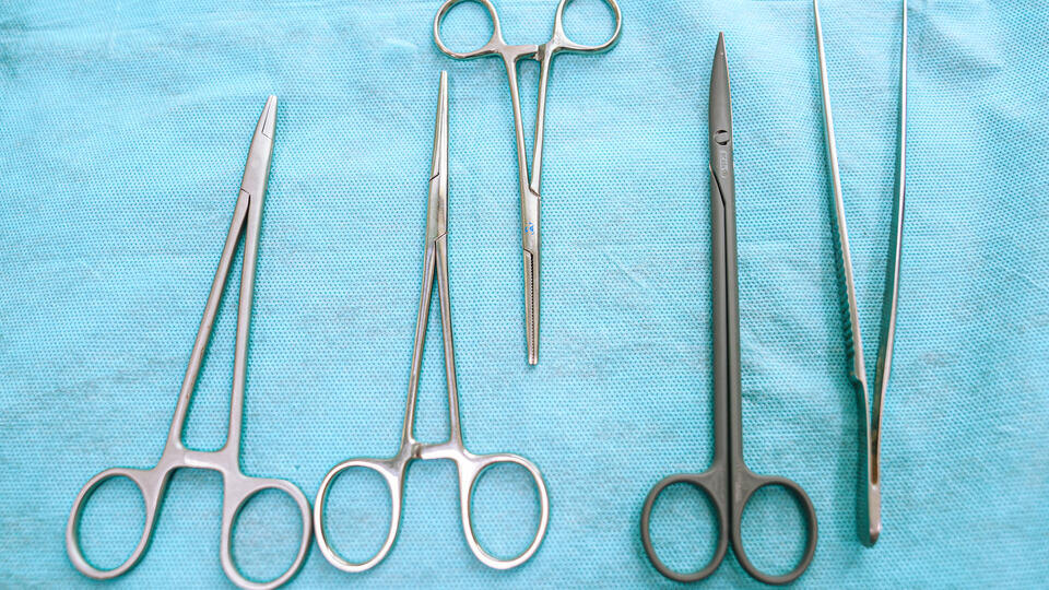 Фото: © ИЗВЕСТИЯ/Анна Селина