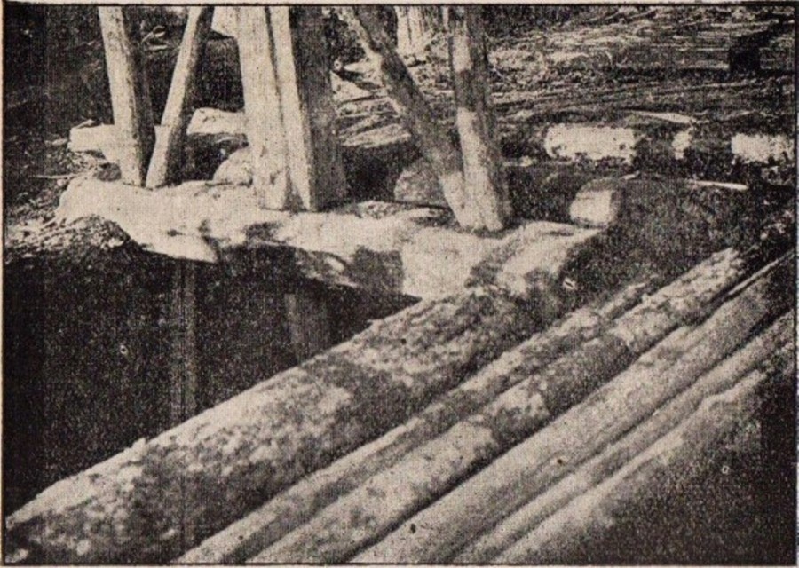 Жерло заброшенной в 1904 г. шахты «Межная», куда были сброшены Алапаевские мученики. Фото из дела.