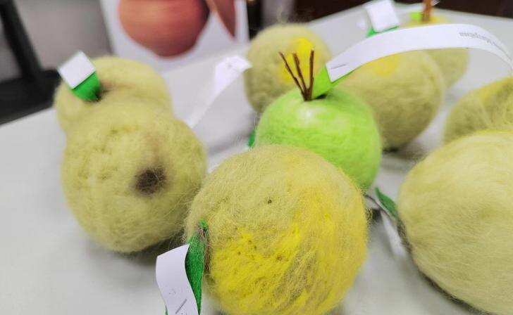    администрация Курска