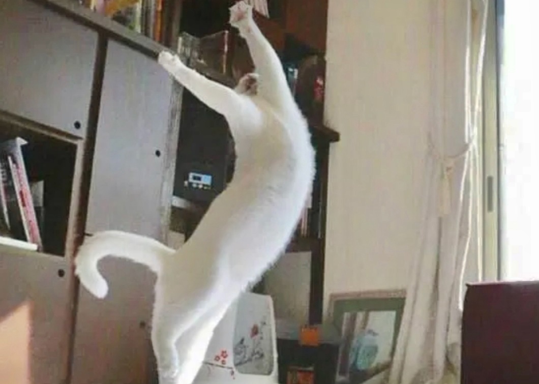 Не забудьте включить нам Чайковского, мы сейчас вам такое покажем! ->->->