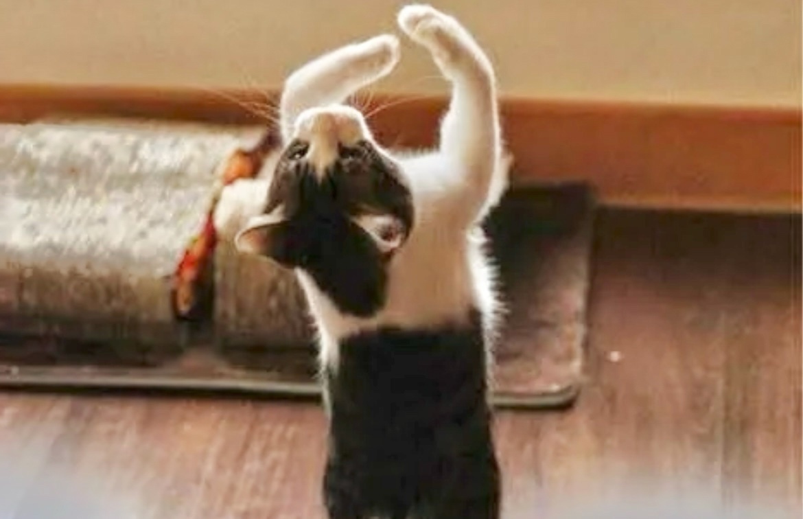 Я еще только учусь, строго не судите ... ->->->