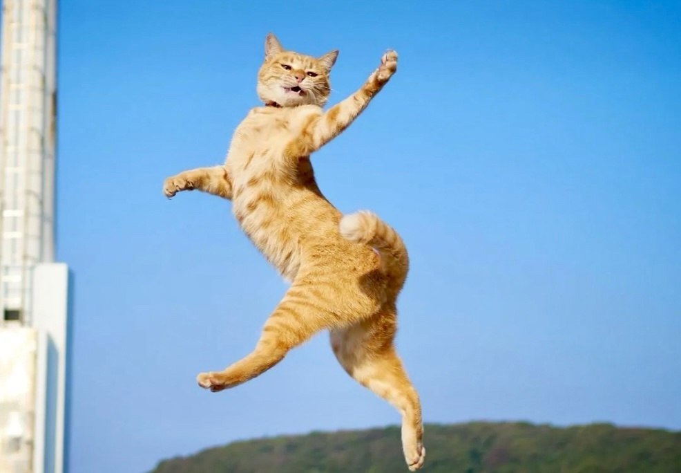 А как вам мой пируэт? Впечатляет?