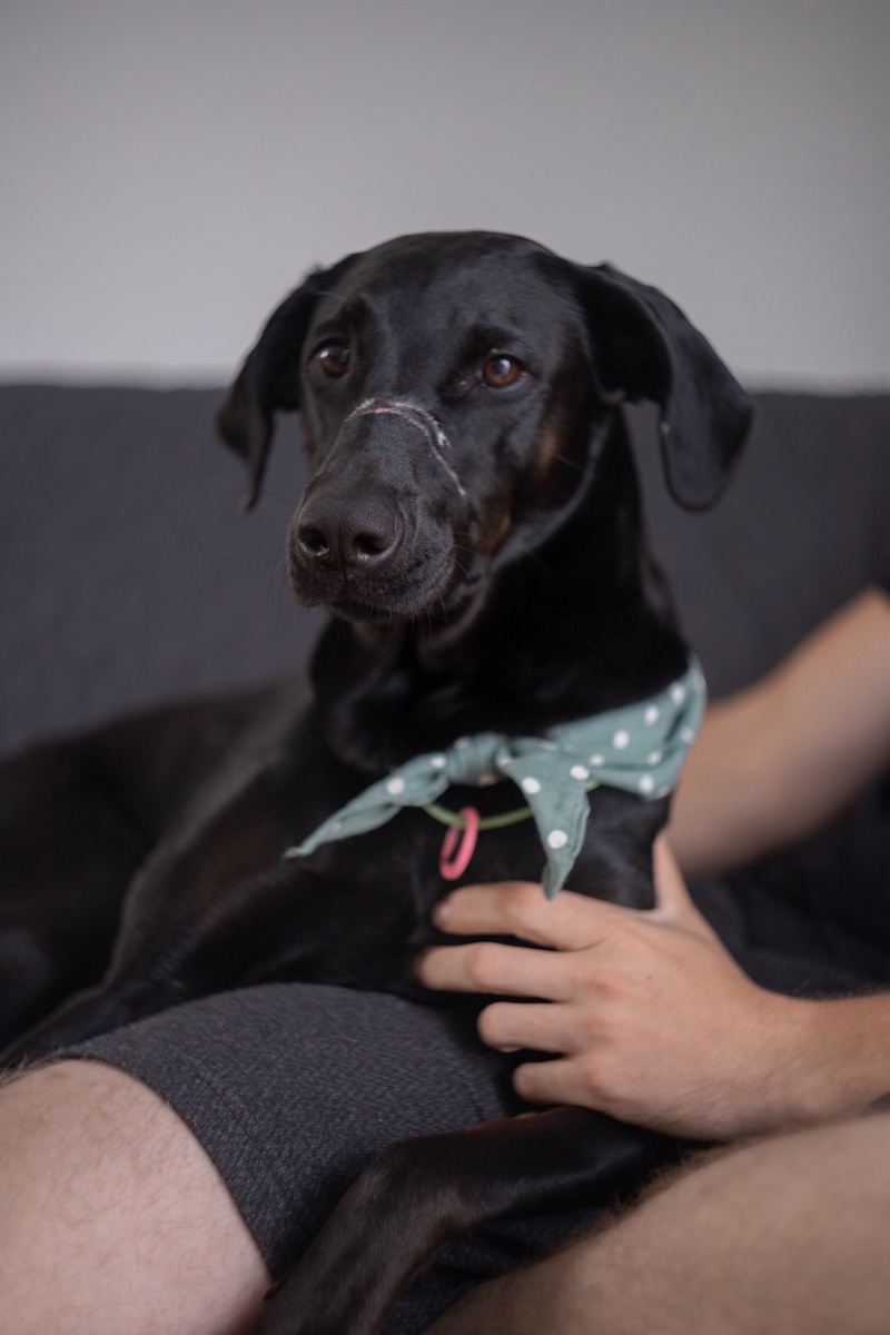 Шакти очень ждёт того, кто больше её не предаст