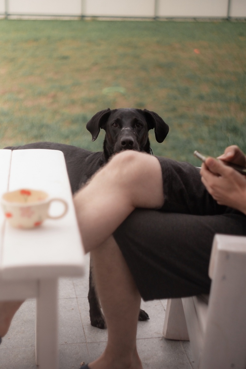 Шакти очень ждёт того, кто больше её не предаст