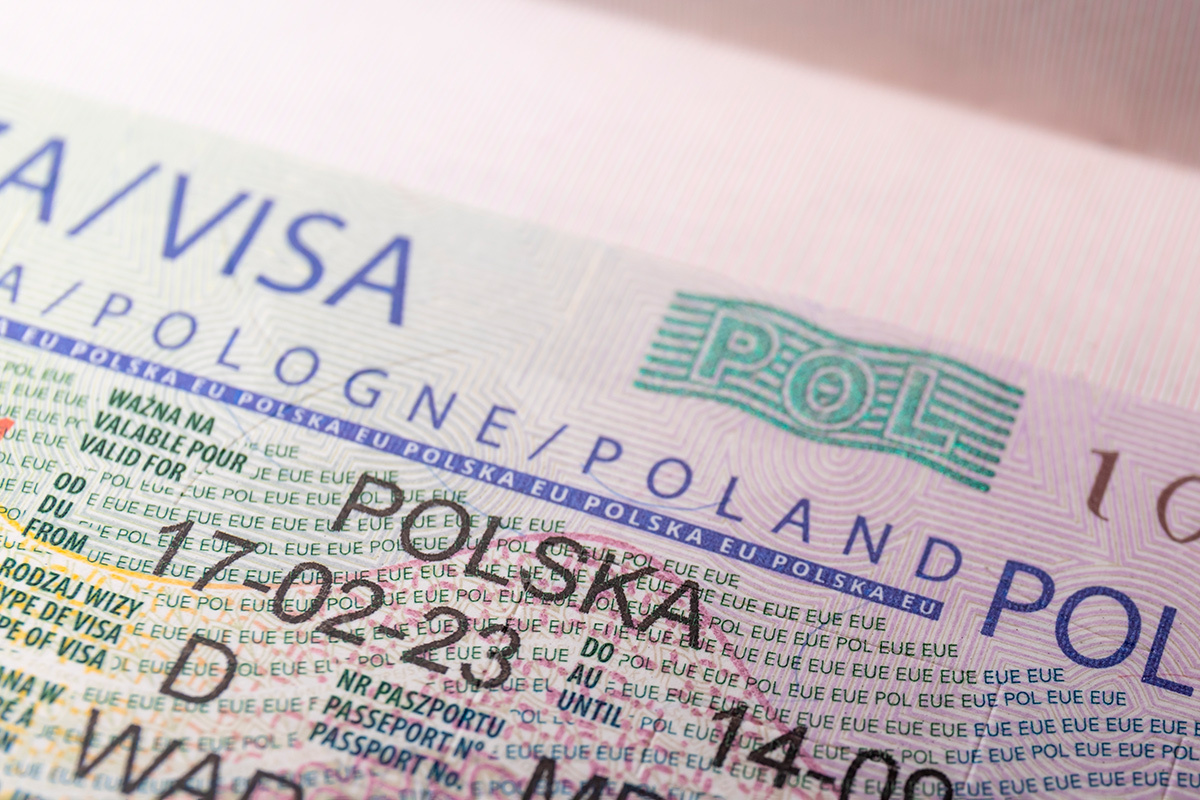    Фото: Riccio da favola / Shutterstock.com