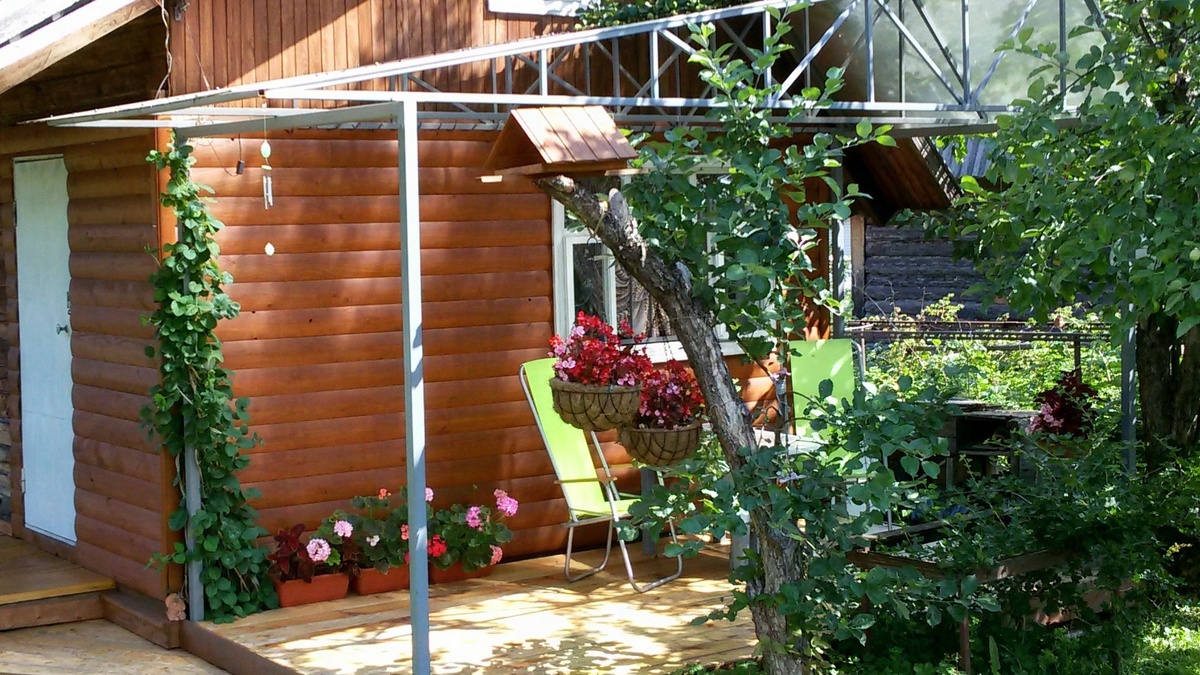 Ящики с пеларгонией на старой даче.