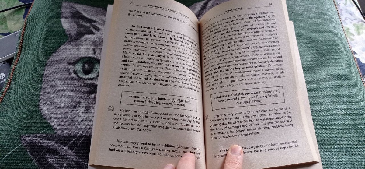 Страница из книги Э. Сетона-Томпсона "Королевская аналостанка" 