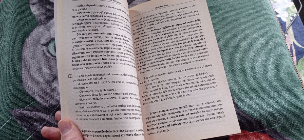 Страница из книги С.Бенни "Божественная грамматика"