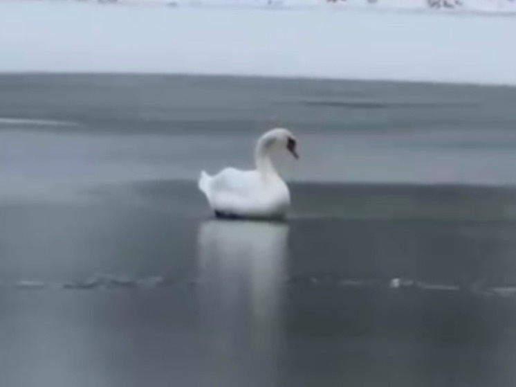     Фото: скрин видео с ТГ-канала Егора Виркова