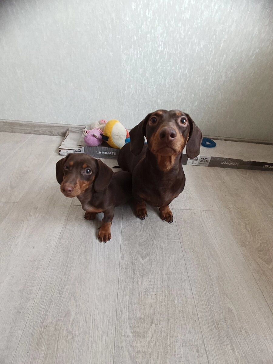 Здесь Мишель как будто у деректора школы, когда отчитывают её дочь. А на этой фотографии реально отчитываю Николь)      