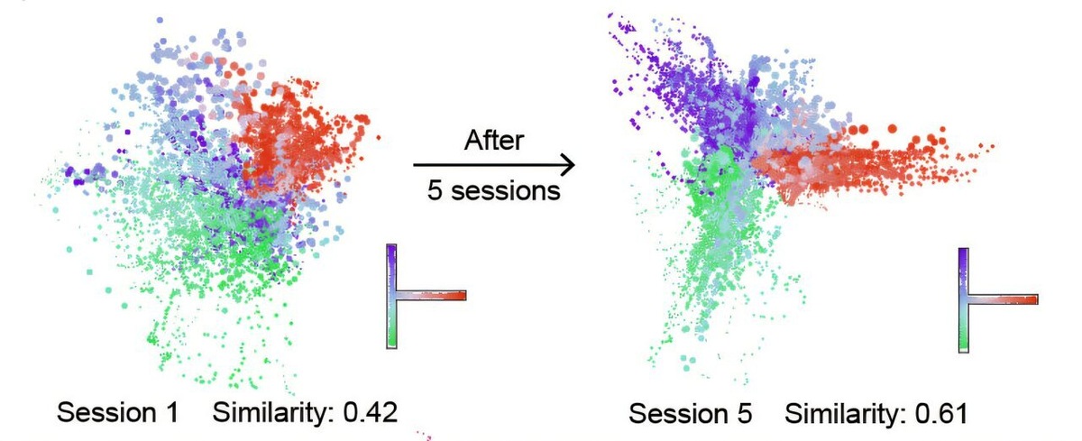    Wei Guo/MIT PIcower Institute