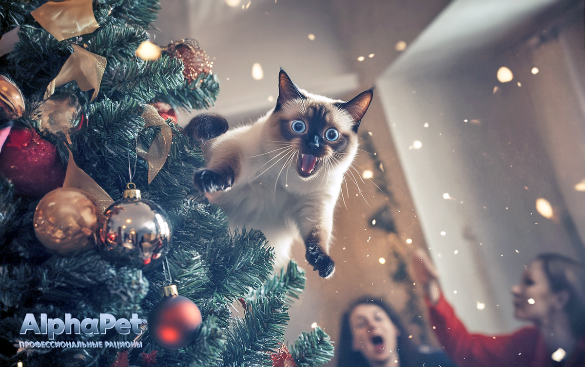 Кот и ёлка: драма или комедия? / Изображение: AlphaPet