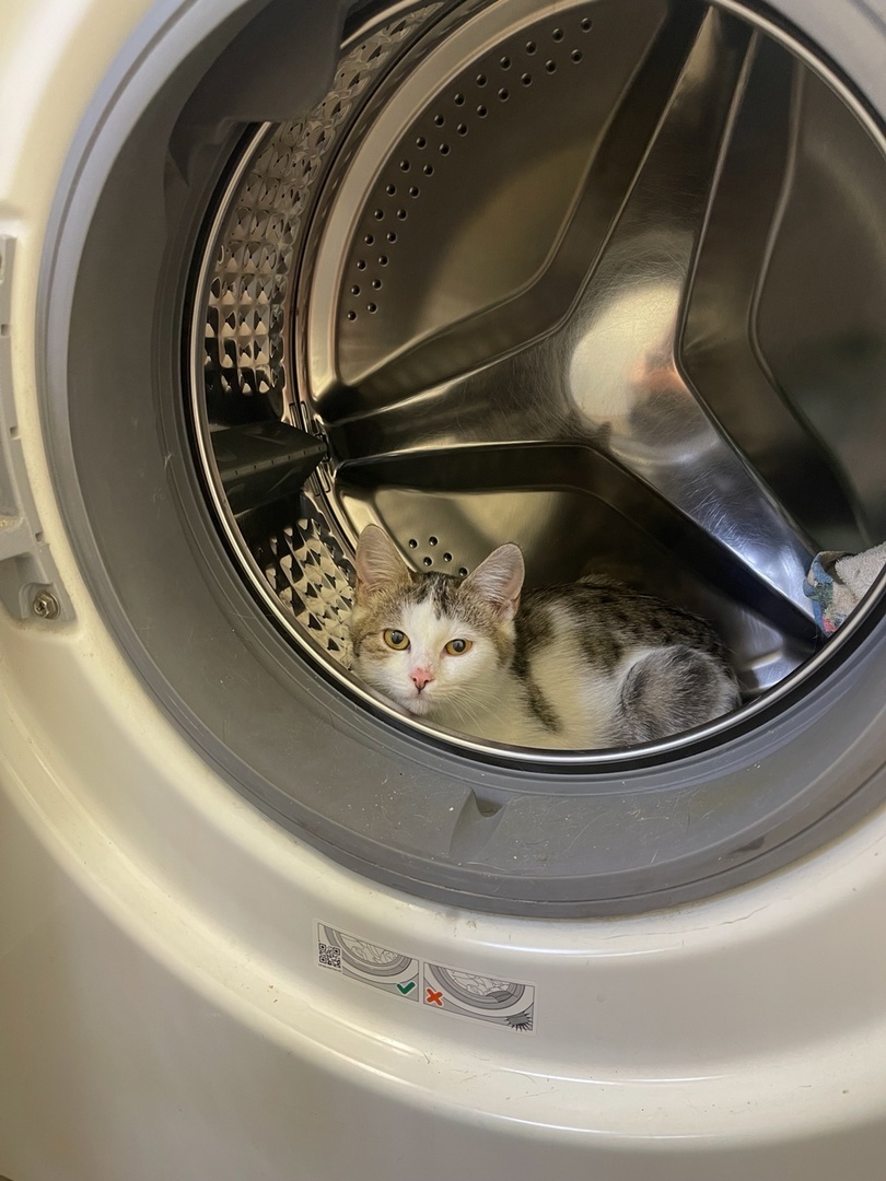 Матильда в своем домике)))