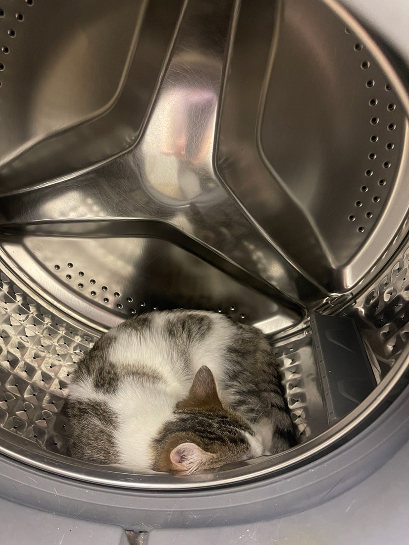 Спокойной ночи, Матильда!