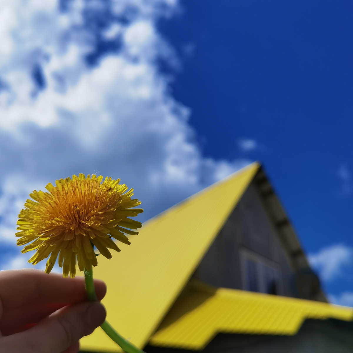 Мое личное солнце