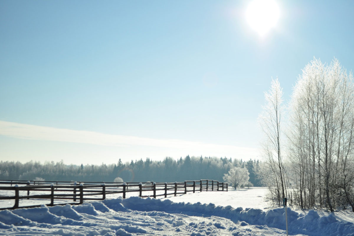    Фото: berezinsky.by