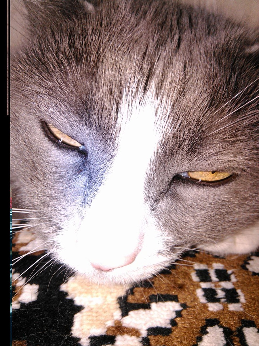 Васечка имел тяжелый характер.