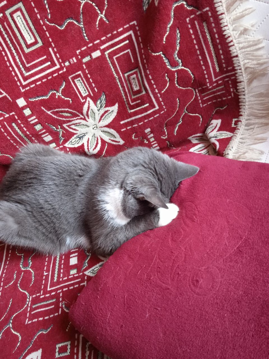 Васечка обиделся, глаза бы его никого не видели.