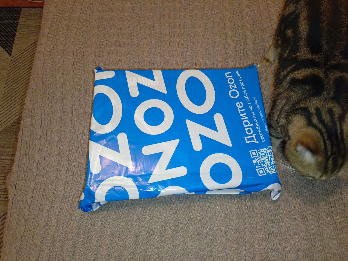 Пакетный кот, как всегда тут, как тут.