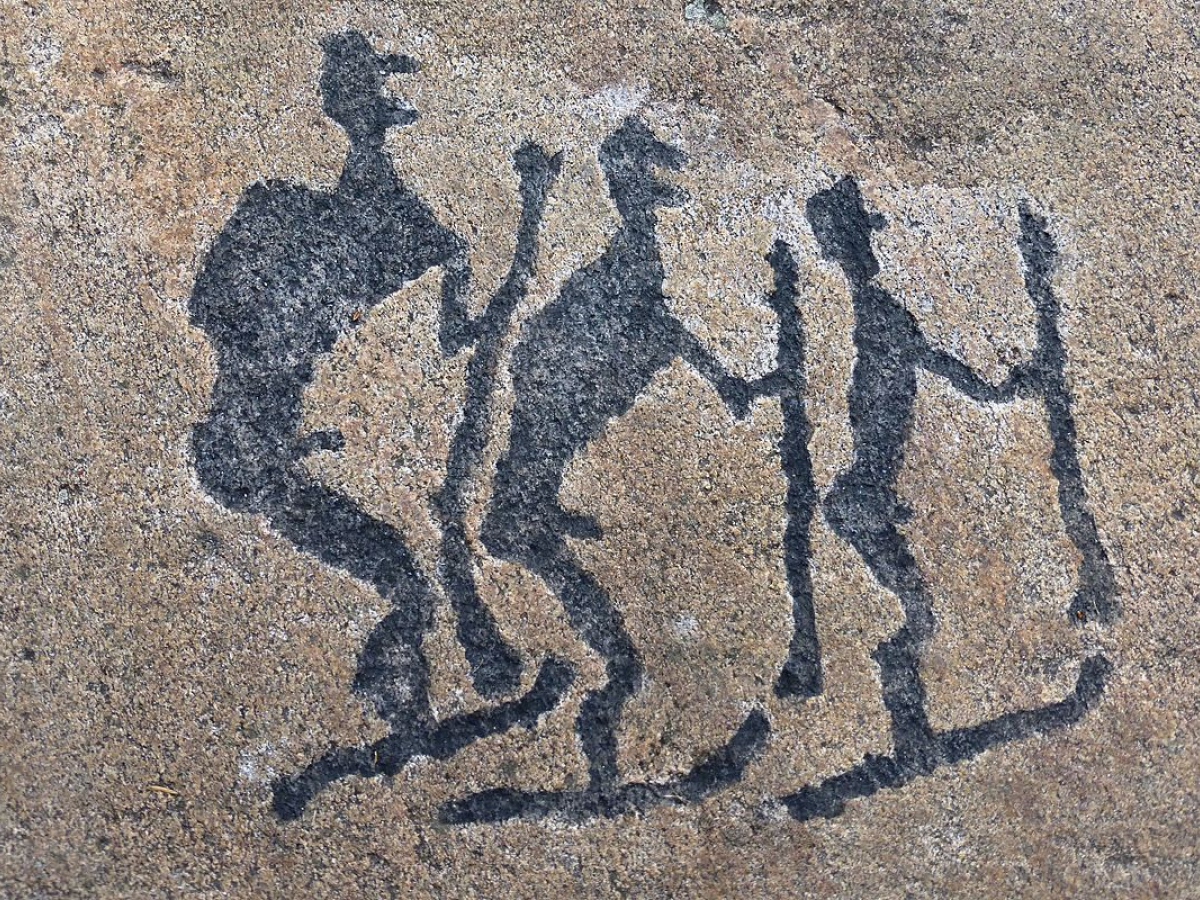 Фото: Semenov.m7