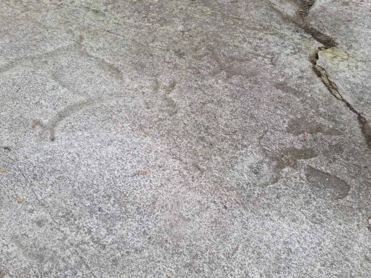 Фото: Шелковников Евгений Анатольевич