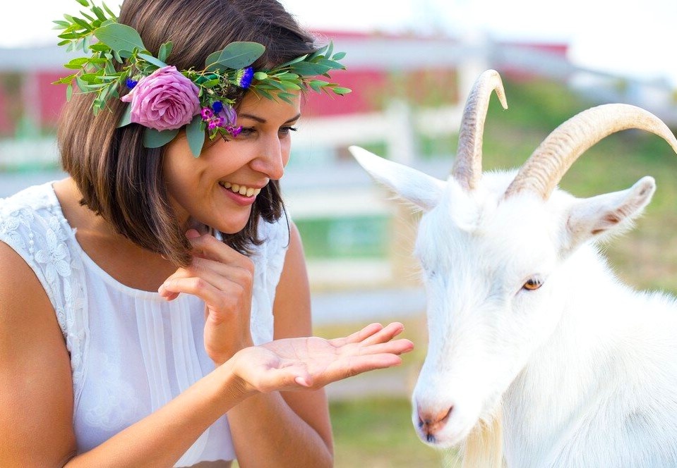 Из свободных источников