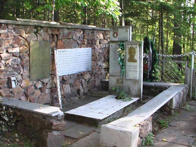 Могила А. М. Кошурникова