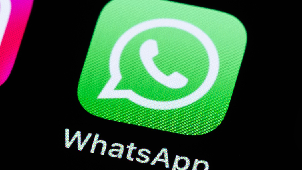    Фото: Silas Stein/dpa/Globallookpress