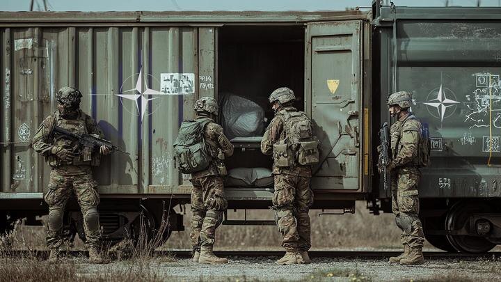 Коллаж NovorosInform