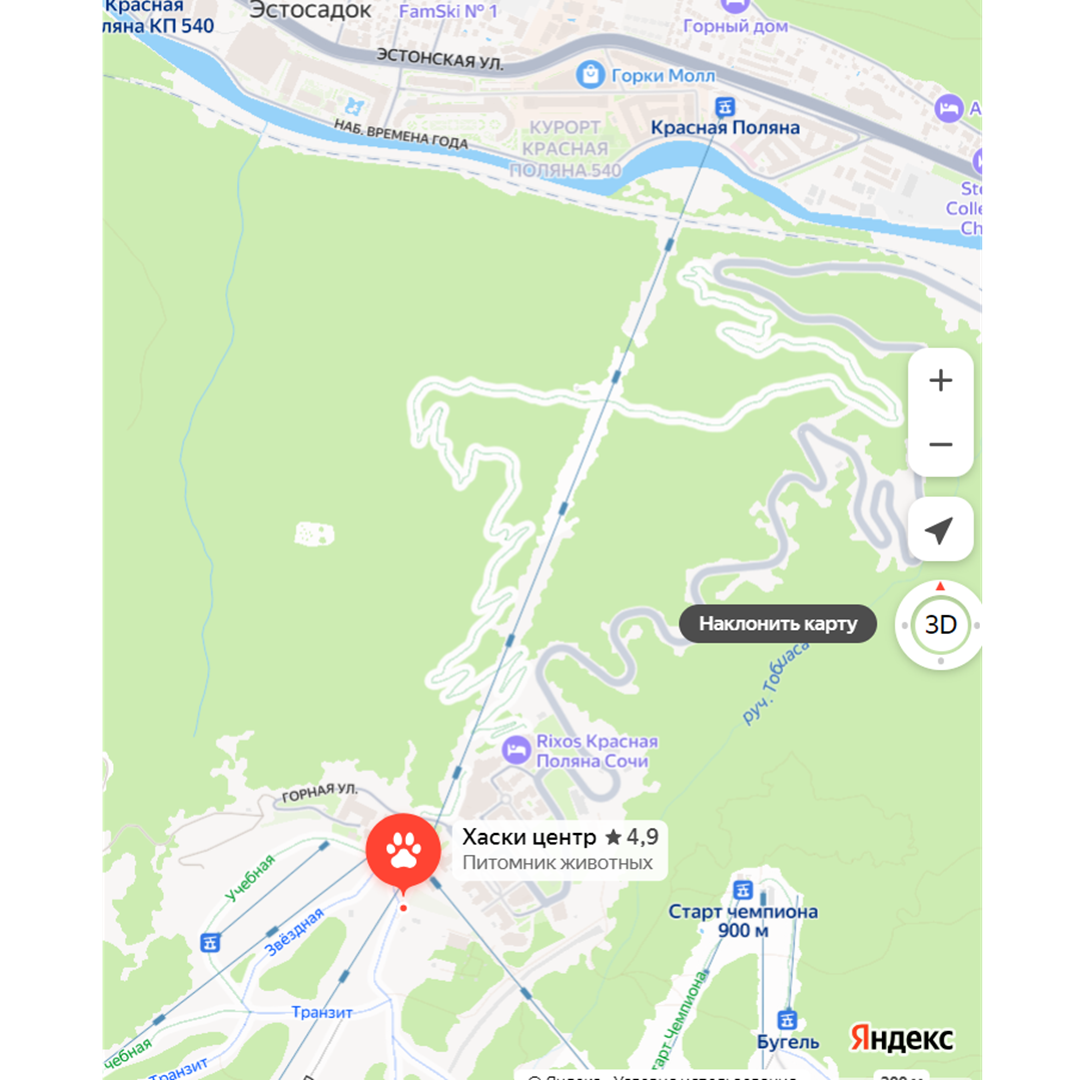 Хаски центр находится на территории курорта Красная Поляна, принадлежащего Сбербанку.