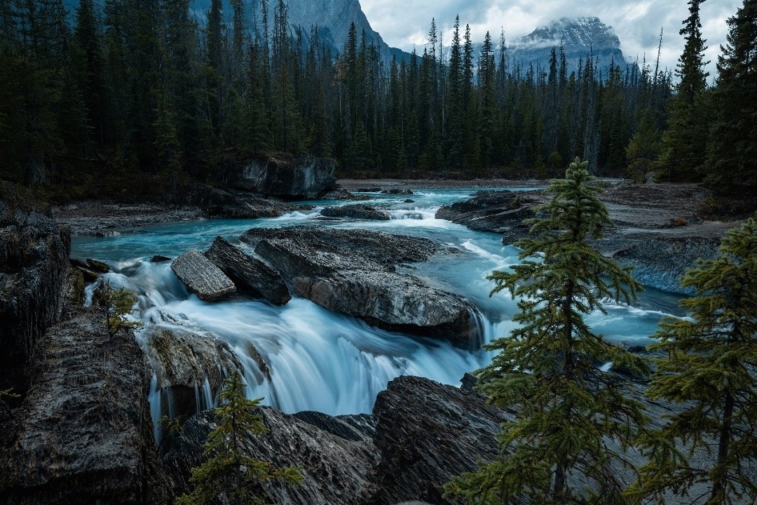 Источник: https://unsplash.com/