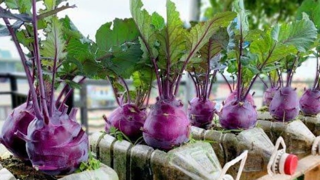 Фото с pinterest.com