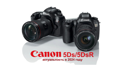Canon 5ds online
