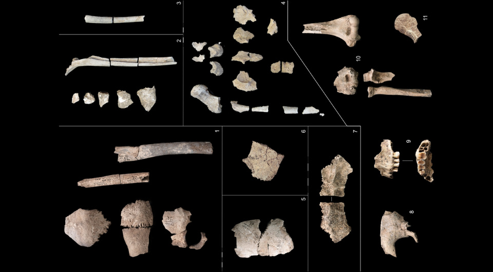   Katharina Fuchs et al. / PLoS ONE, 2024